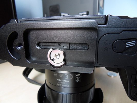 SDC15406.JPG
