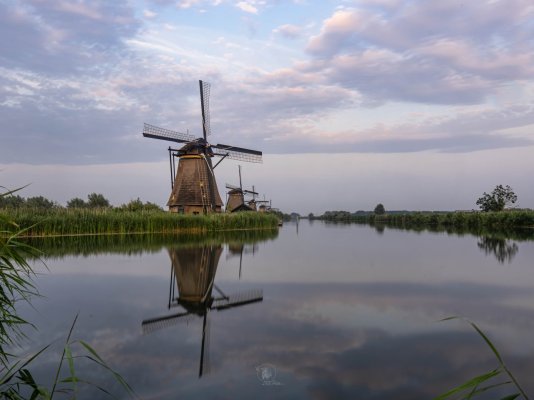 P8135675.jpg
