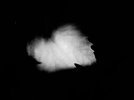 P6120459.jpeg