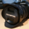 troglodita66